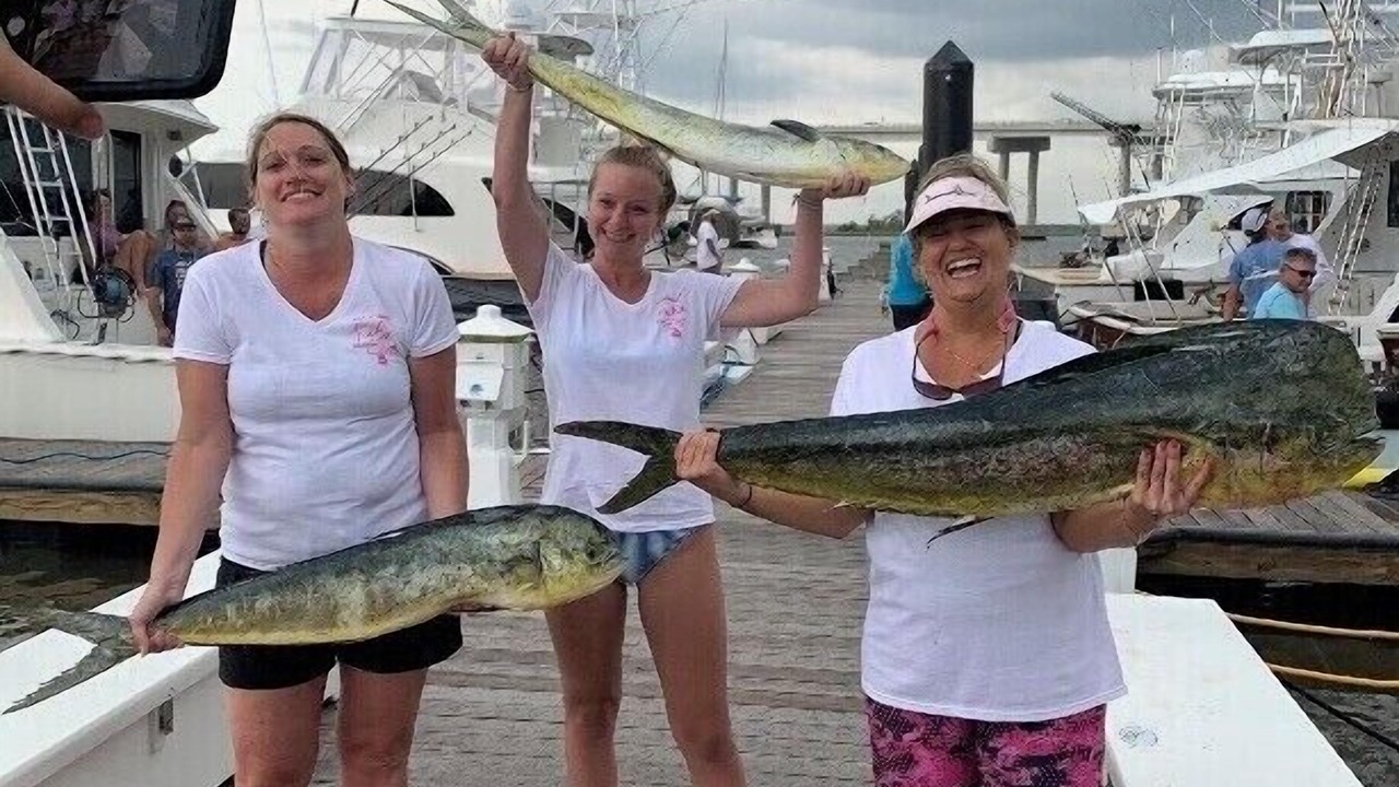 Photo of Others in Morehead City