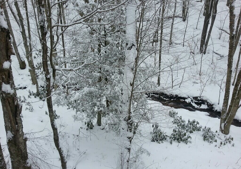 Photo of Others in Cataloochee Ranch