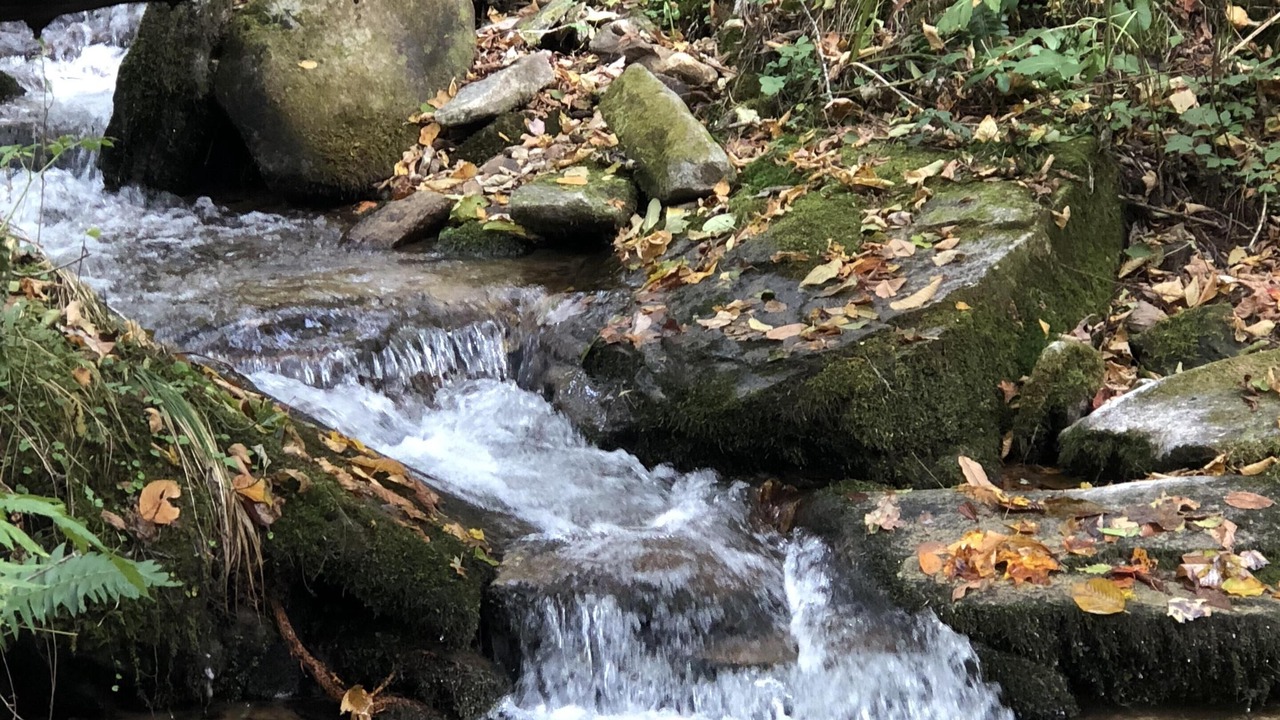 Photo of Others in Cataloochee Ranch