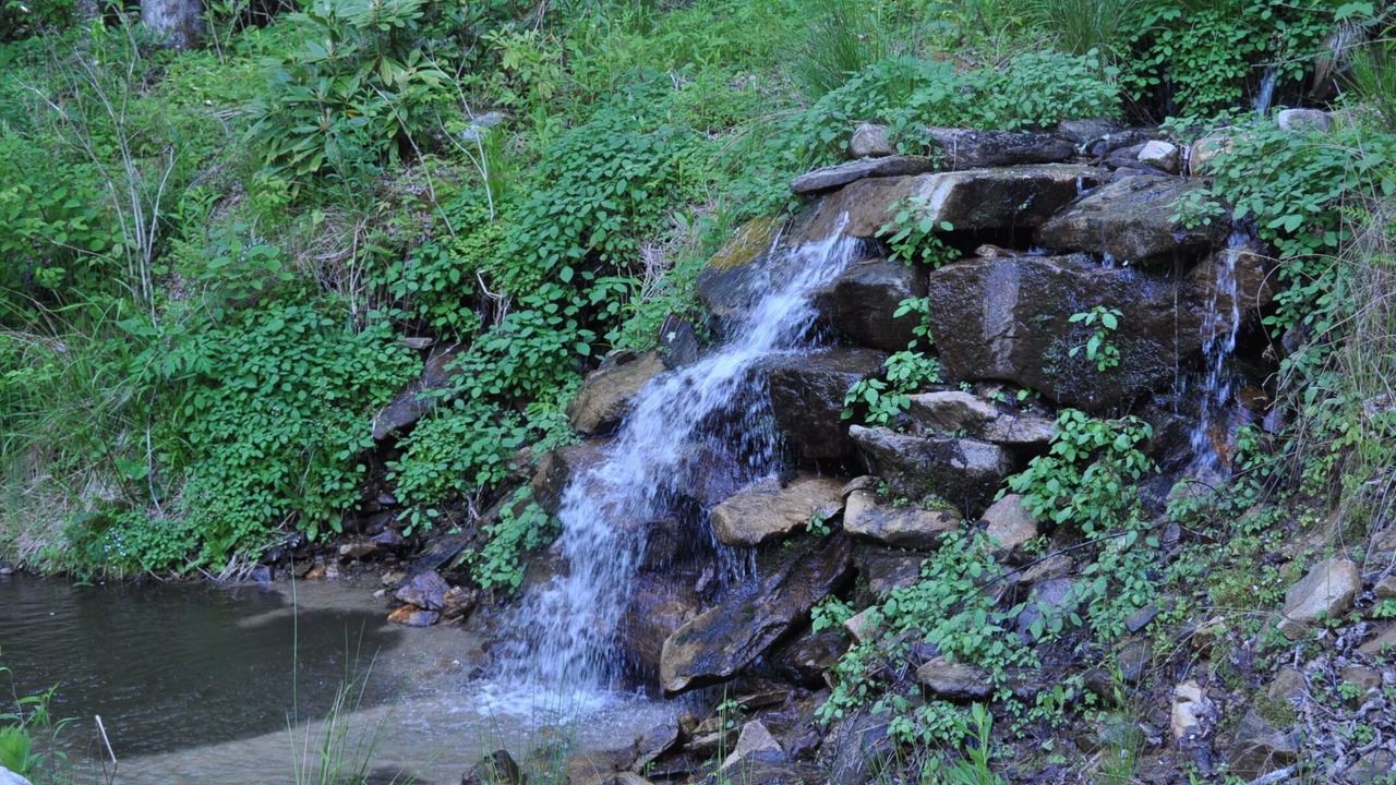 Photo of Others in Cataloochee Ranch
