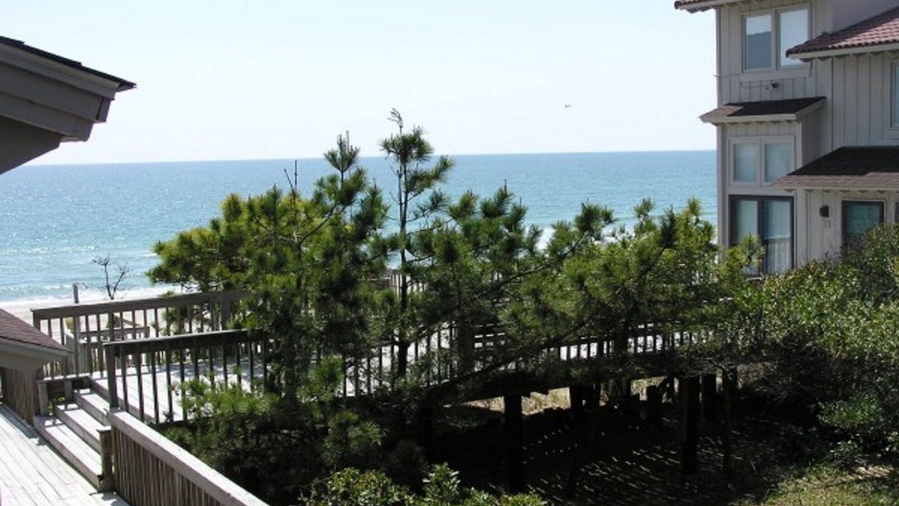 Photo of Others in Pine Knoll Shores