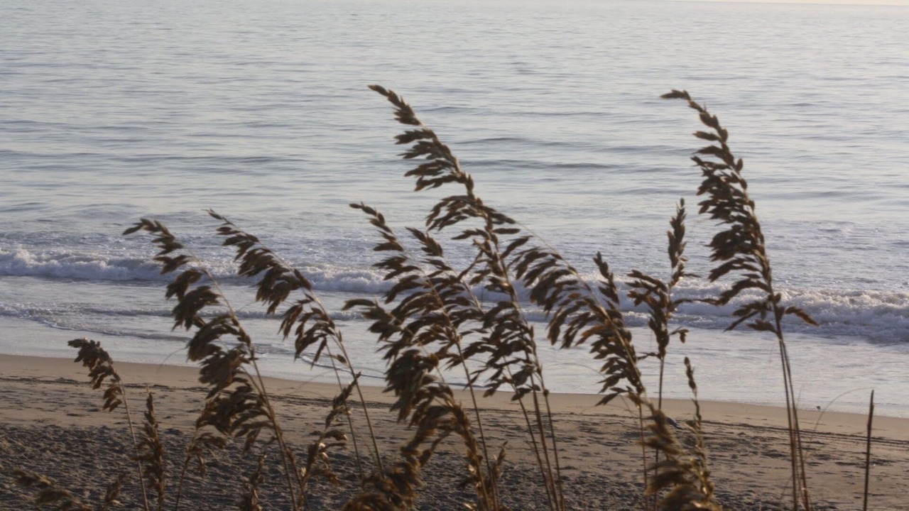 Photo of Others in Southern Shores