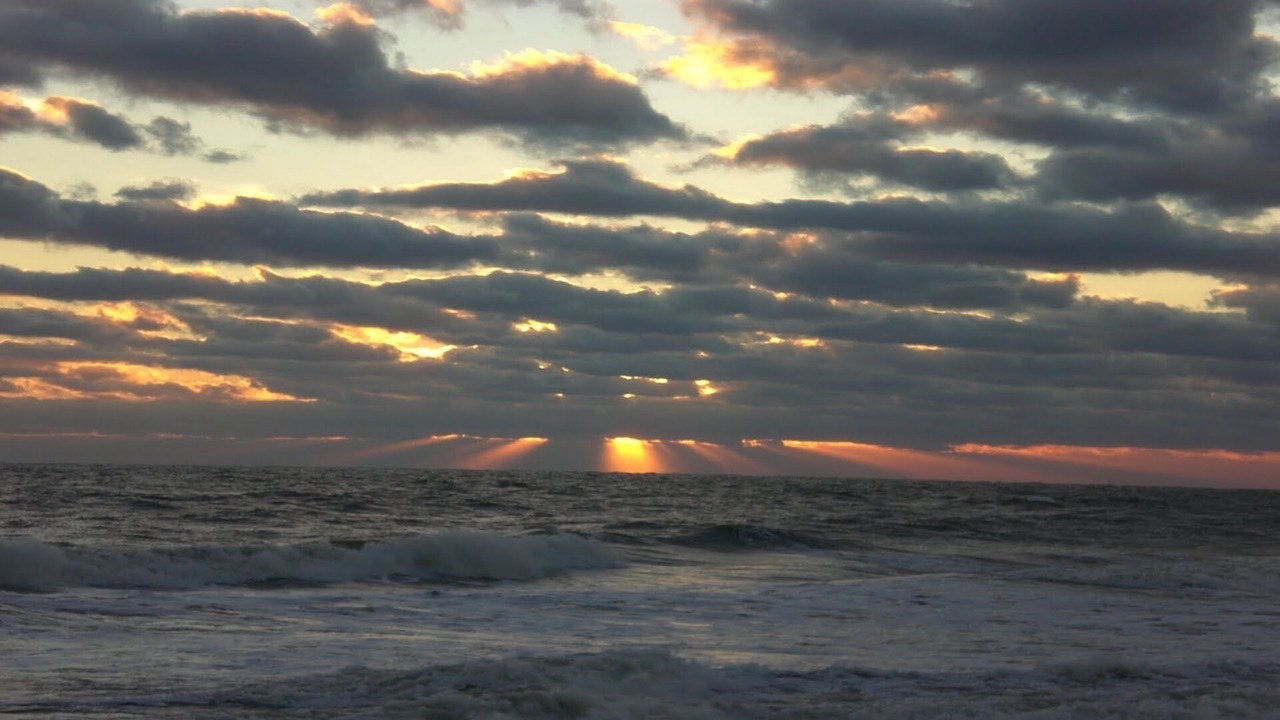 Photo of Others in Southern Shores