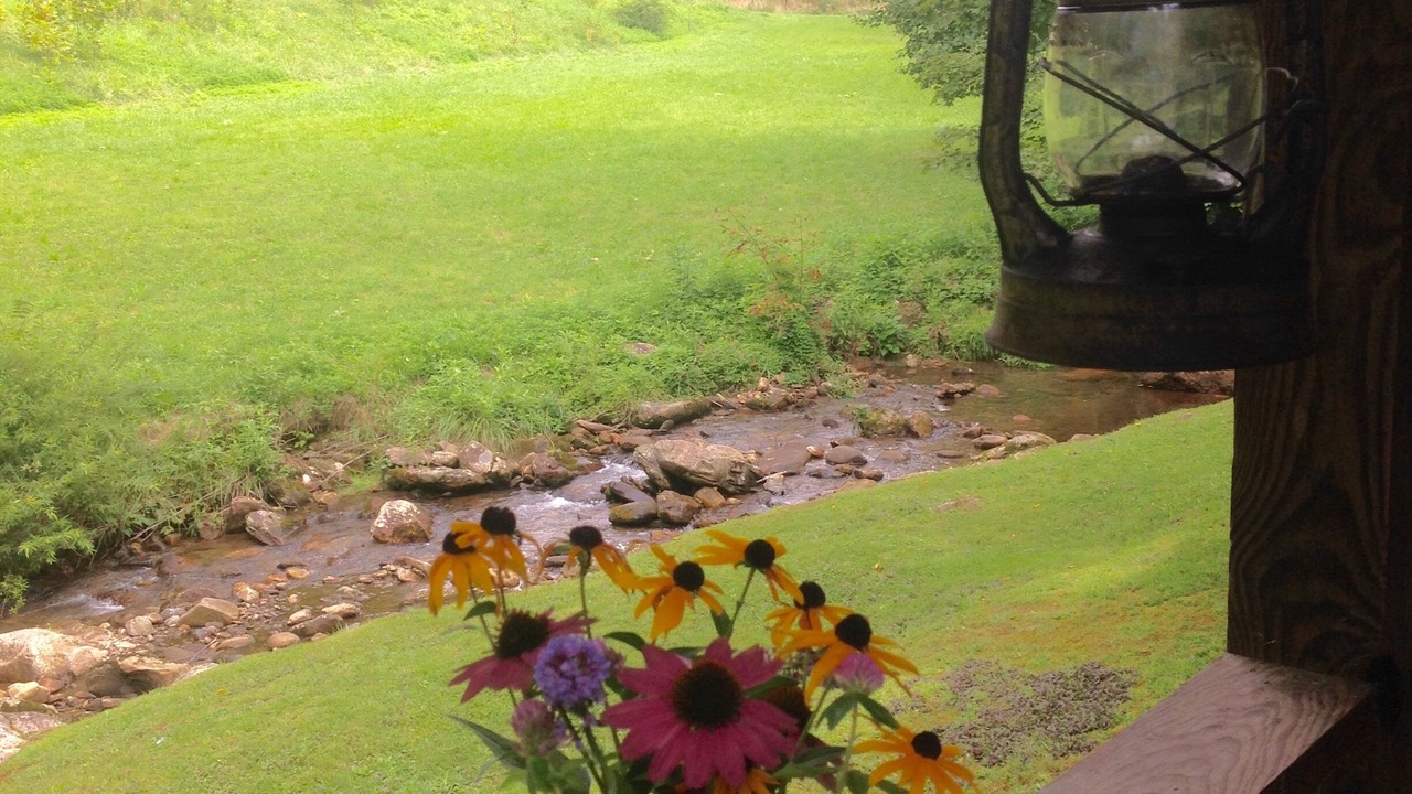 Photo of Outdoor in Sylva