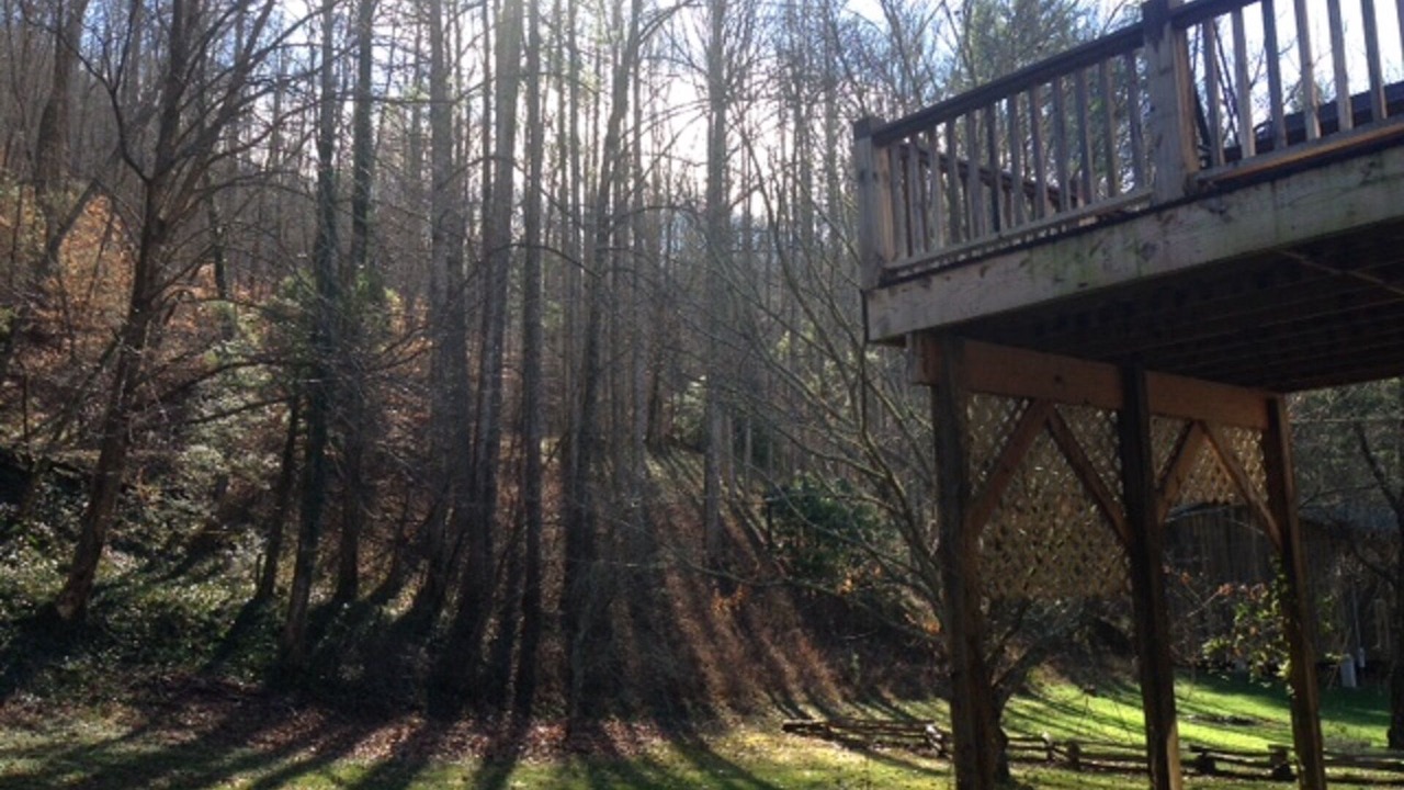 Photo of Others in Sylva