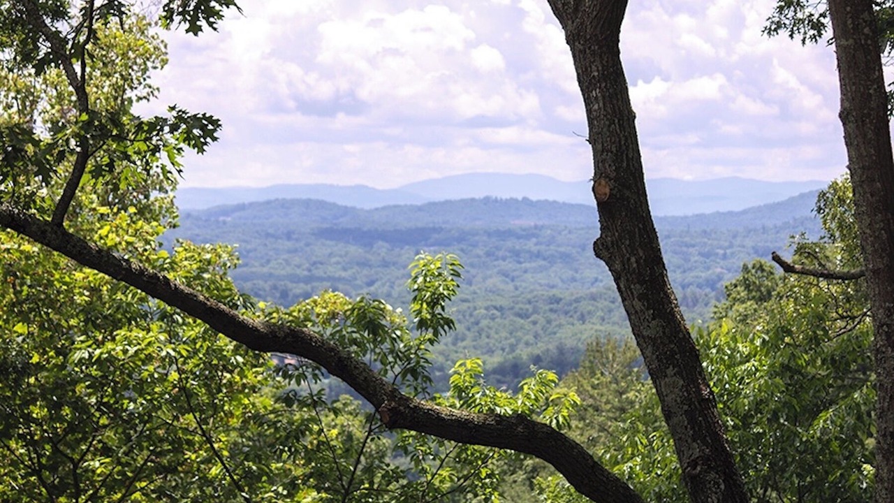 Photo of Others in Asheville