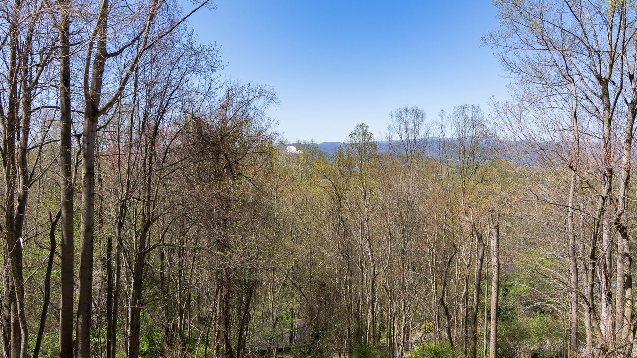 Photo of Outdoor in Skyland