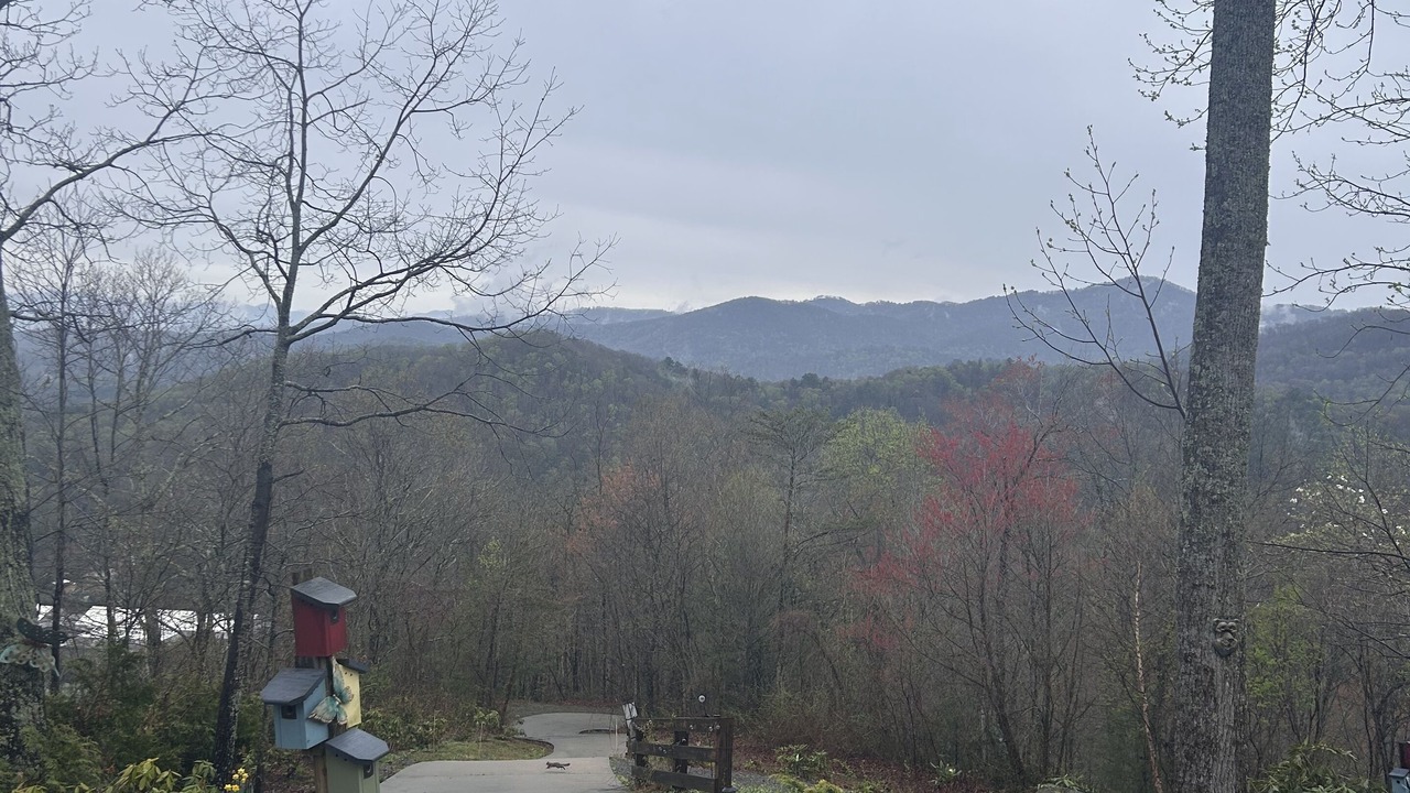 Photo of Others in Swannanoa