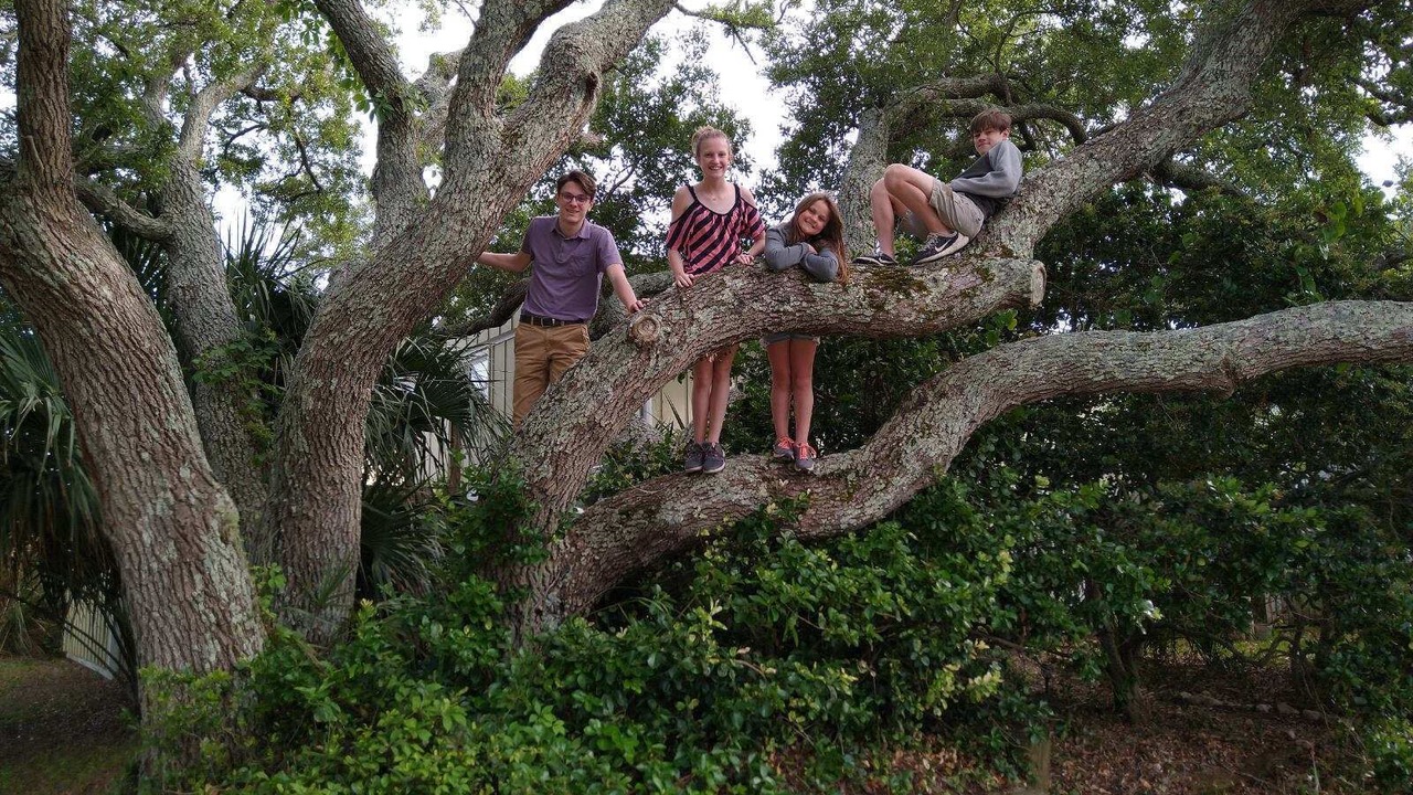 Photo of Outdoor in North Carolina Coast