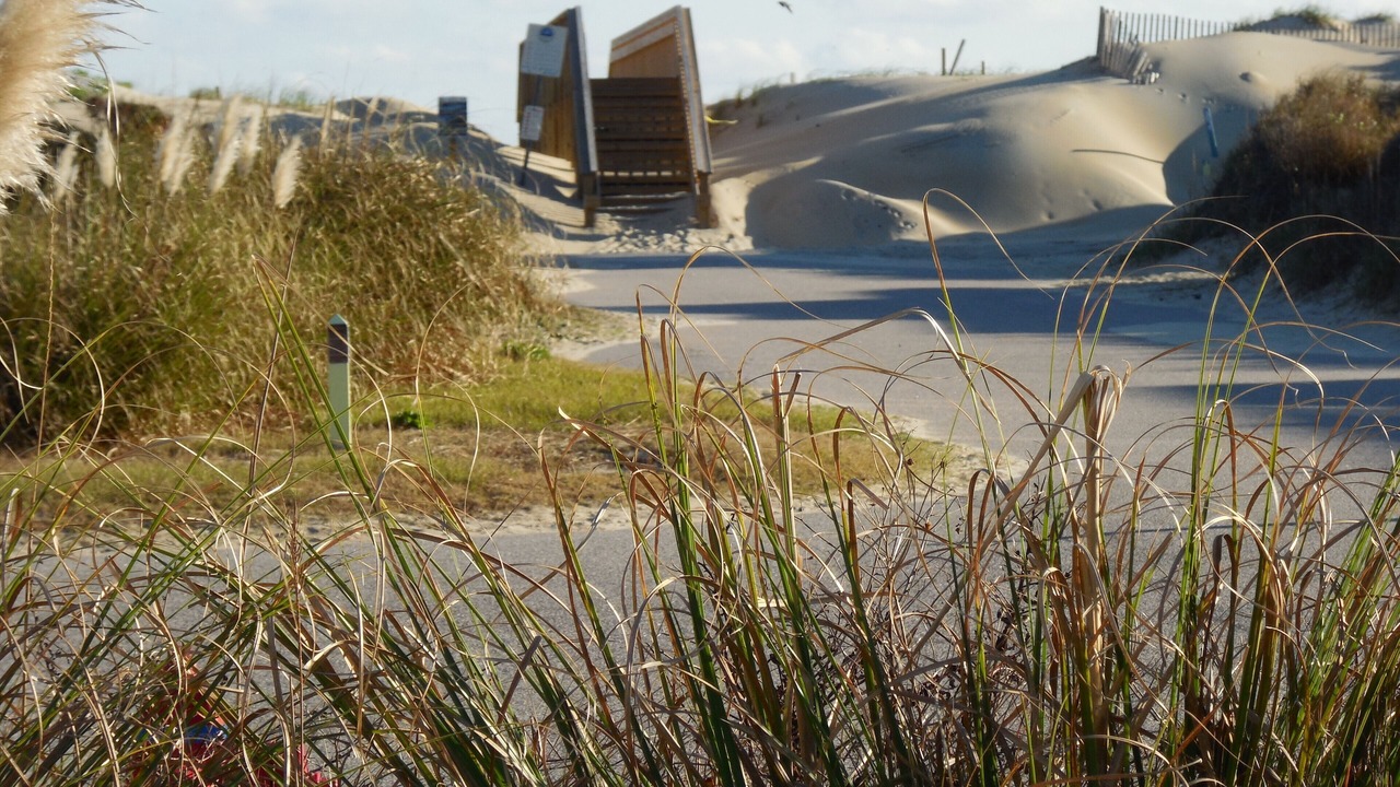 Photo of Others in South Nags Head