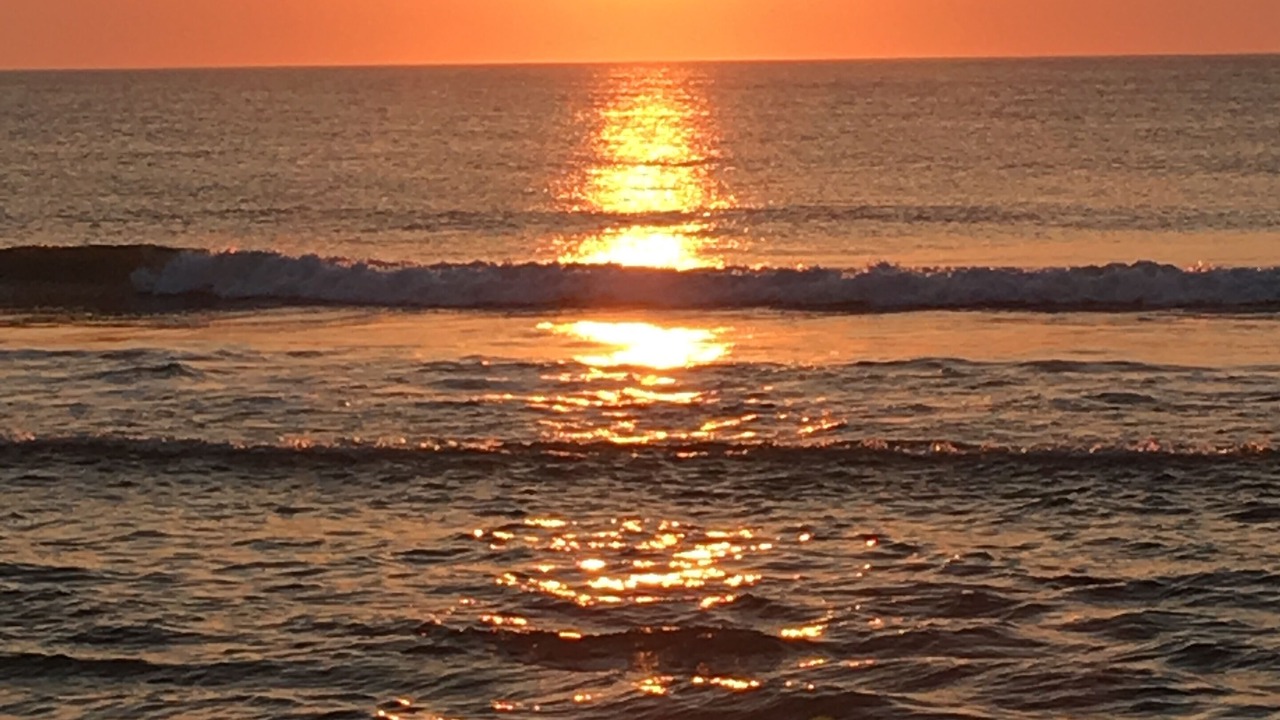 Photo of Others in South Nags Head
