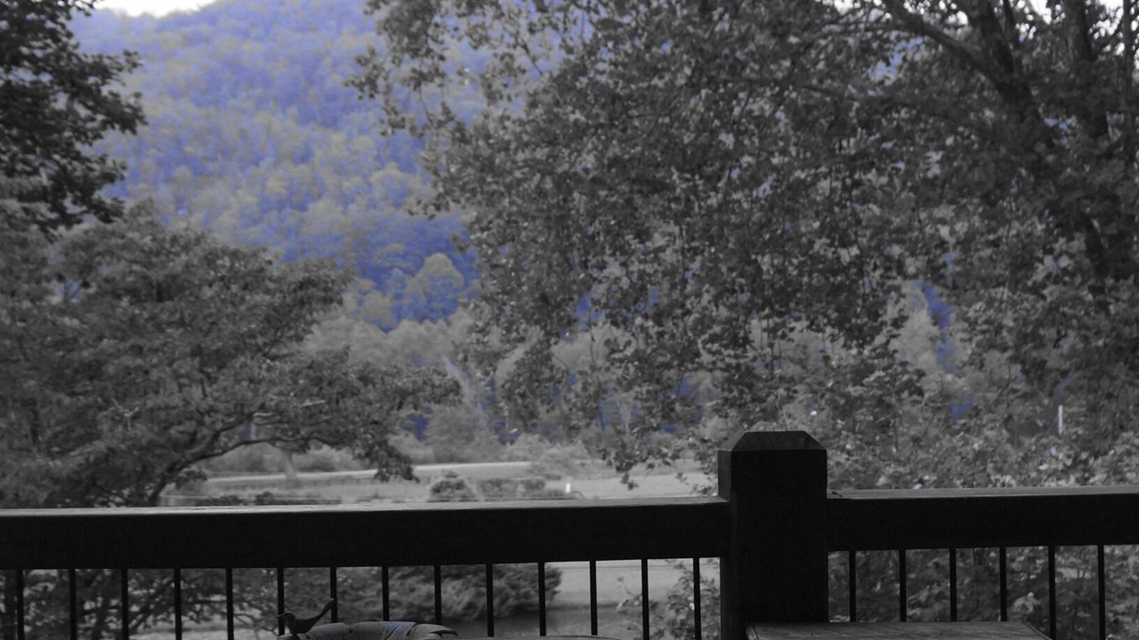 Photo of Outdoor in Canton