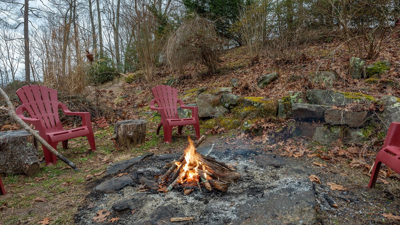 Photo of Others in Asheville