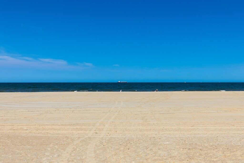 Photo of Others in South Nags Head