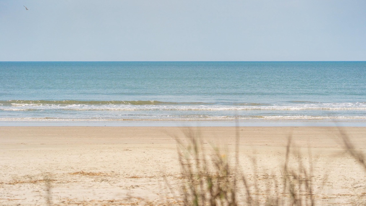 Photo of Others in Kiawah Island