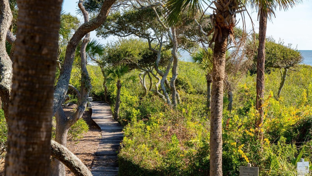 Photo of Others in Kiawah Island