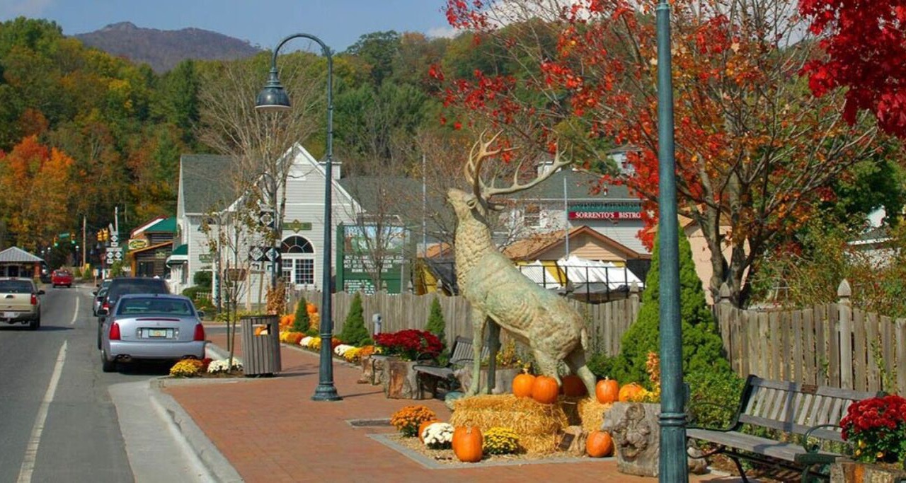 Photo of Others in Banner Elk