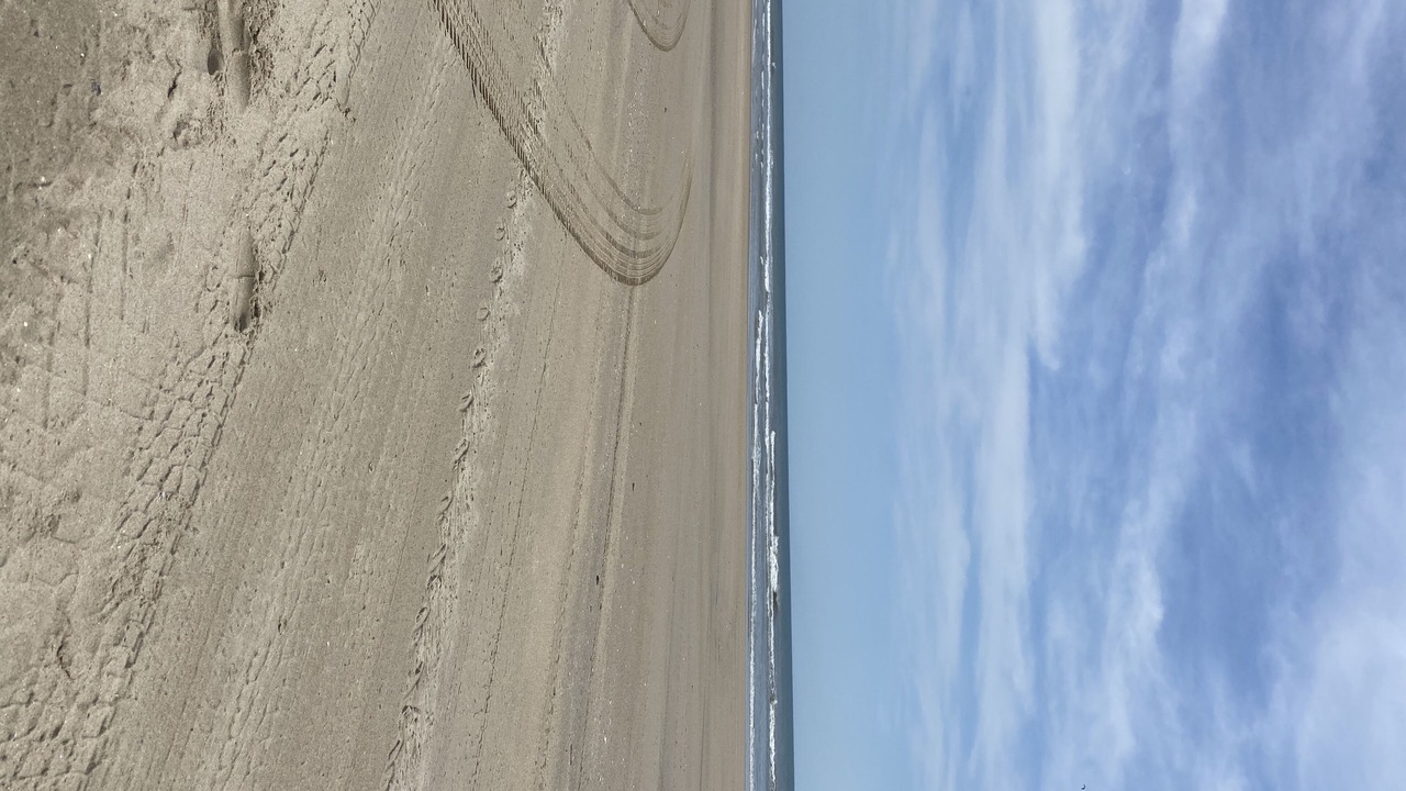 Photo of Others in Carova Beach