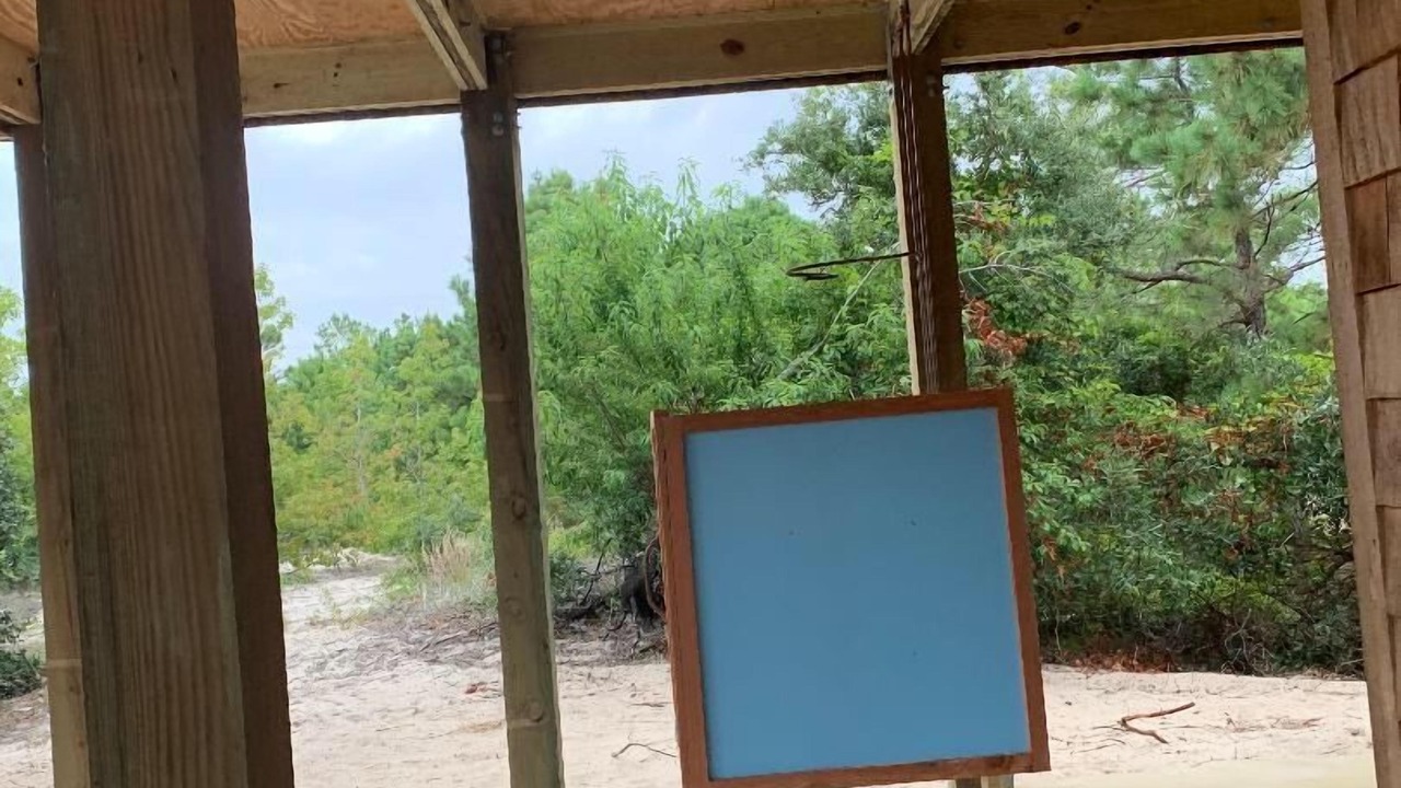 Photo of Outdoor in Carova Beach