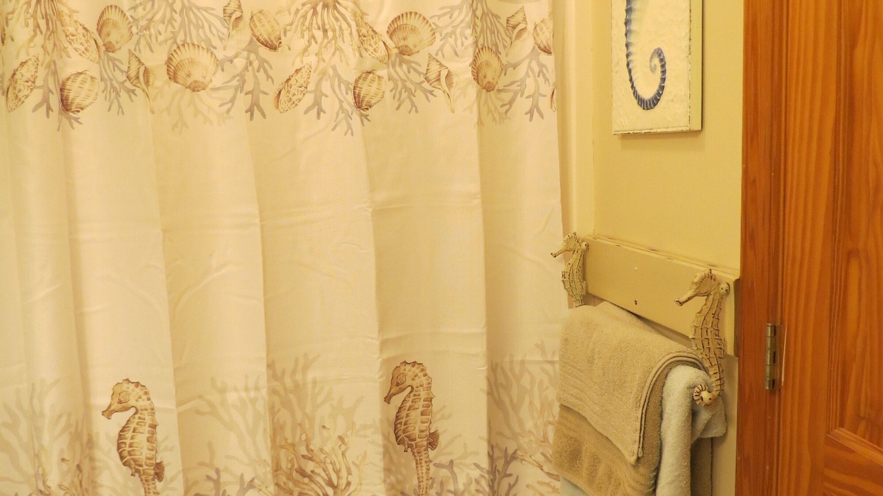 Photo of Bathroom in Carova Beach