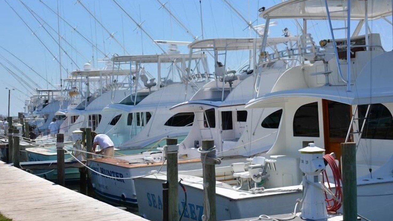 Photo of Others in South Nags Head