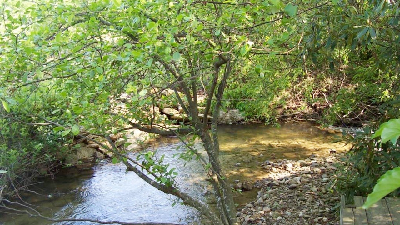 Photo of Outdoor in Hendersonville