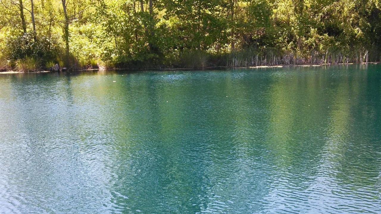 Photo of Others in Hendersonville