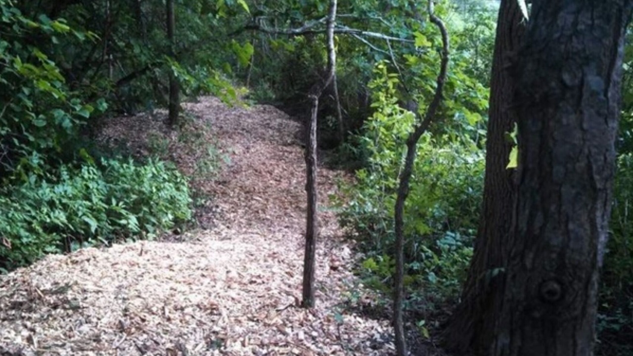 Photo of Others in Hendersonville