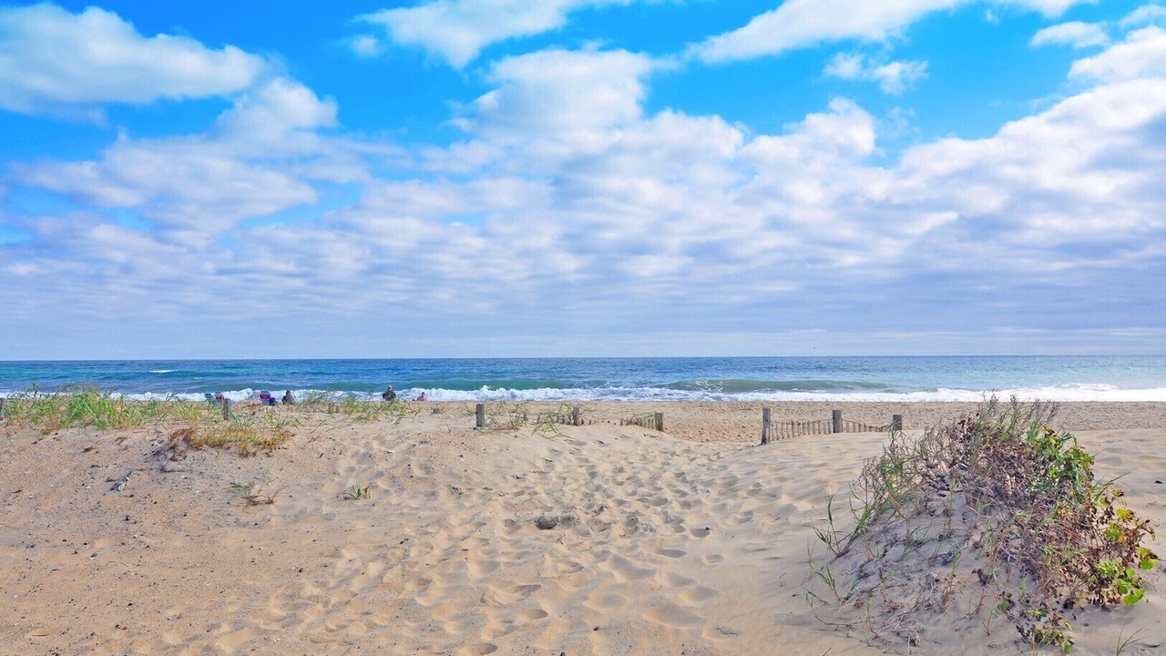 Photo of Others in South Nags Head