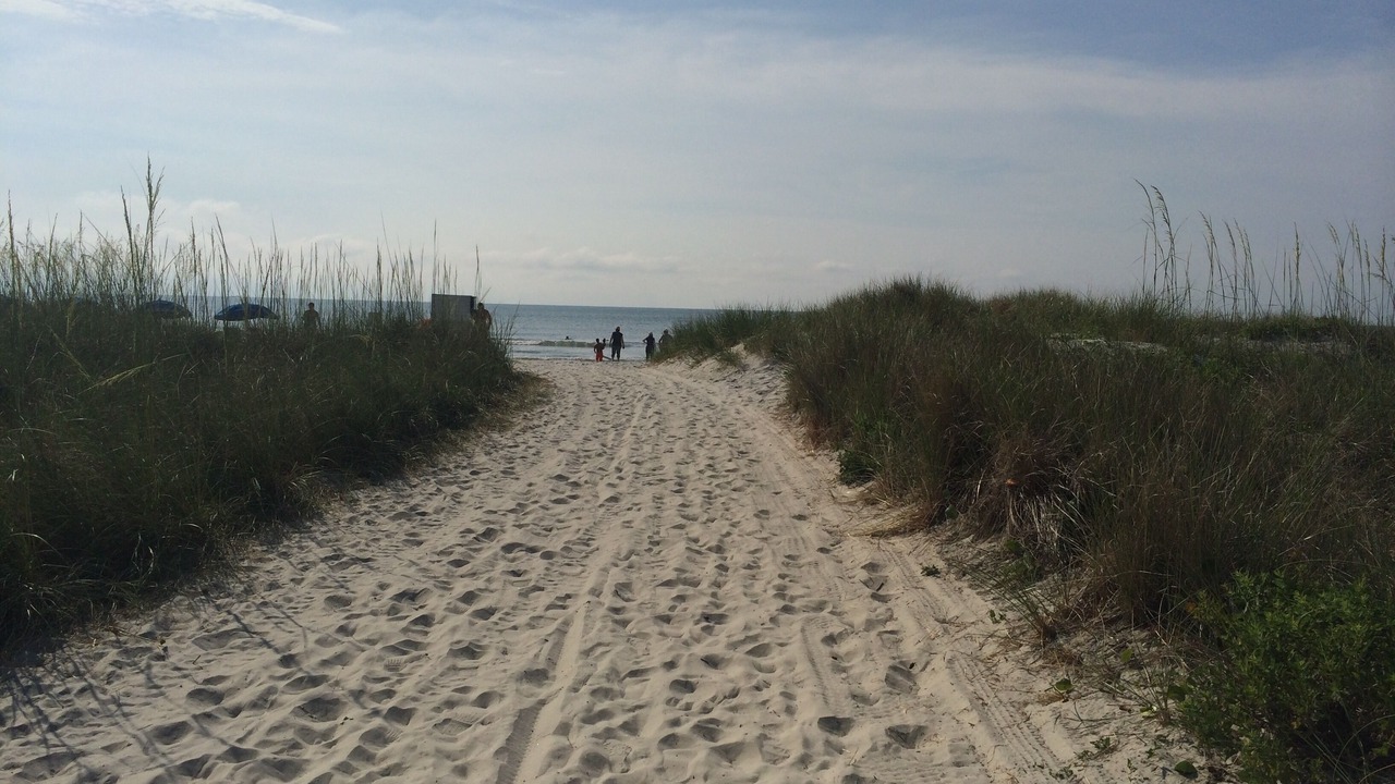Photo of Others in Palmetto Dunes