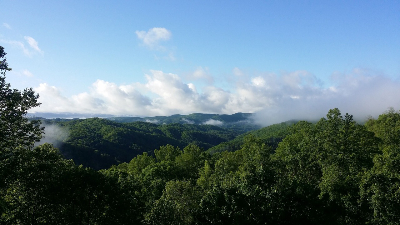 Photo of Others in Deep Gap