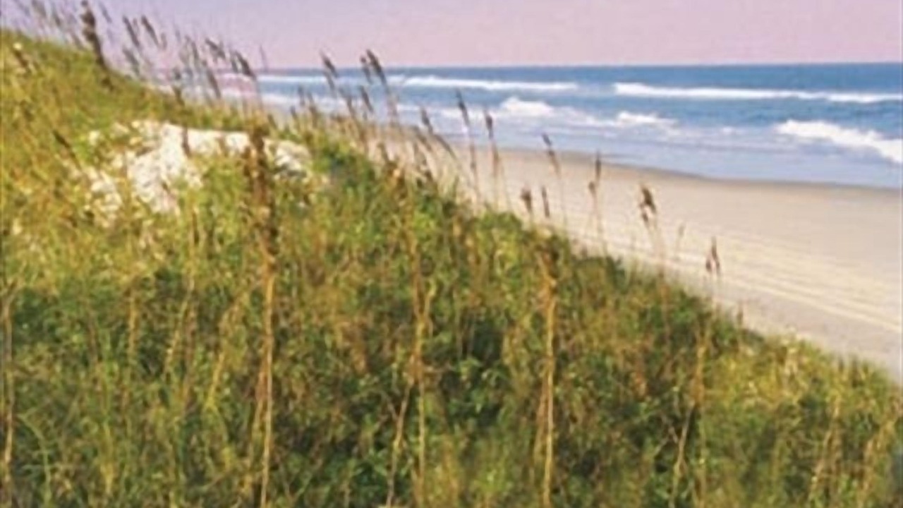 Photo of Others in Ocean Sands