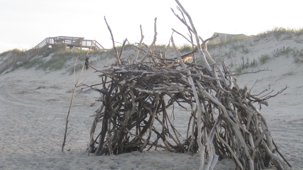 Photo of Others in Ocean Sands