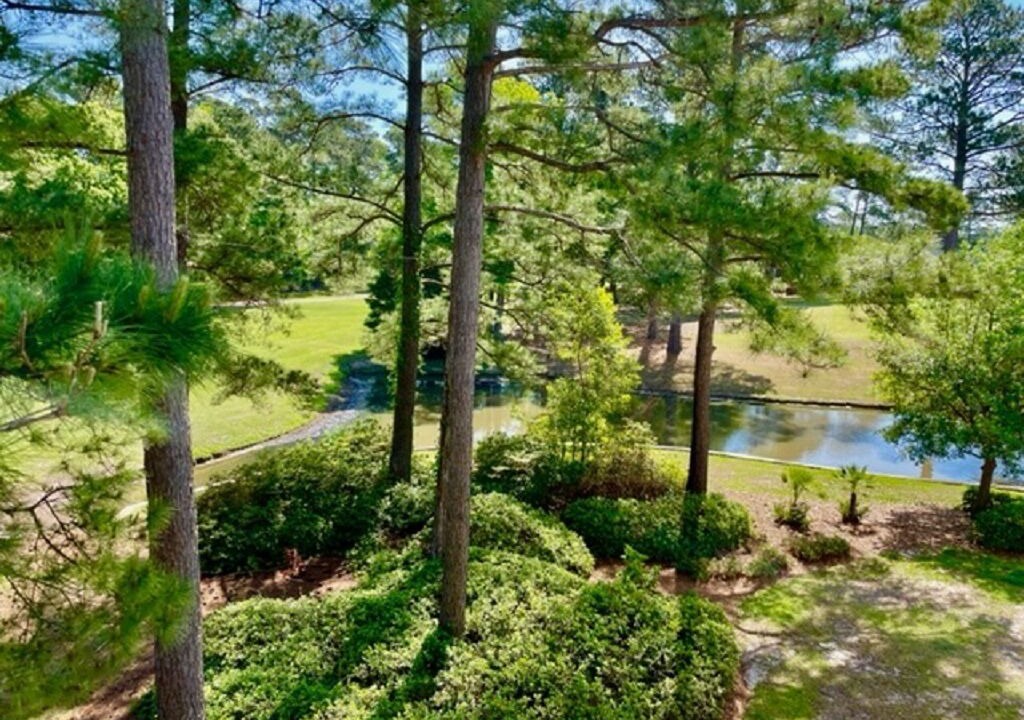 Photo of Outdoor in Calabash