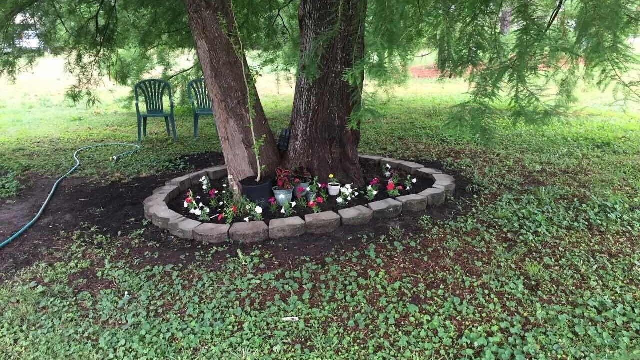 Photo of Outdoor in Westover