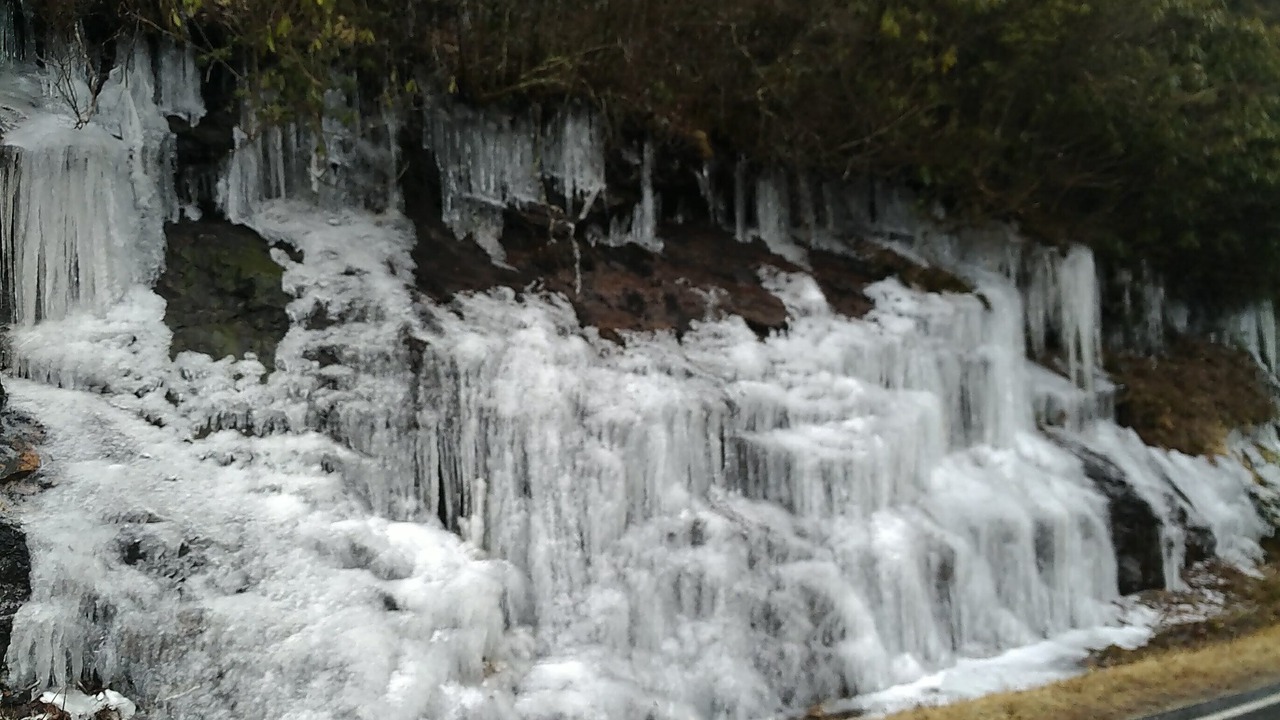 Photo of Others in Balsam Grove