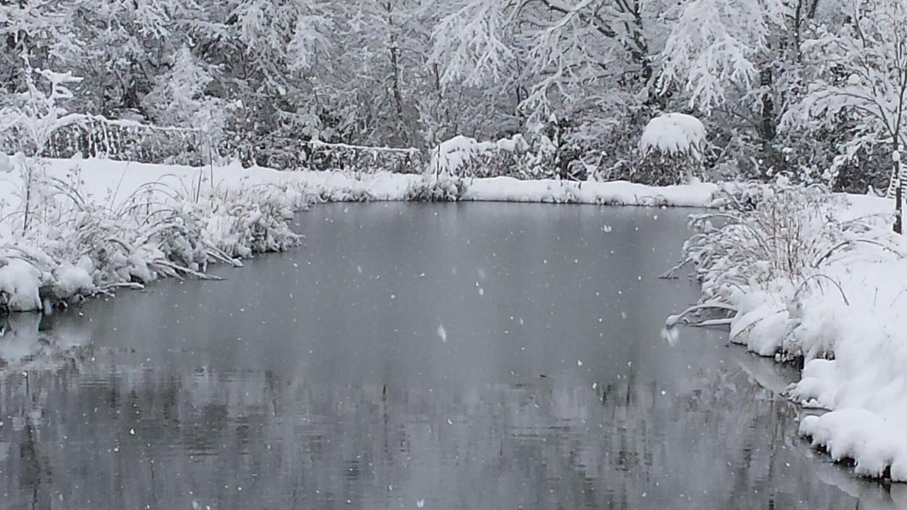 Photo of Others in Balsam Grove