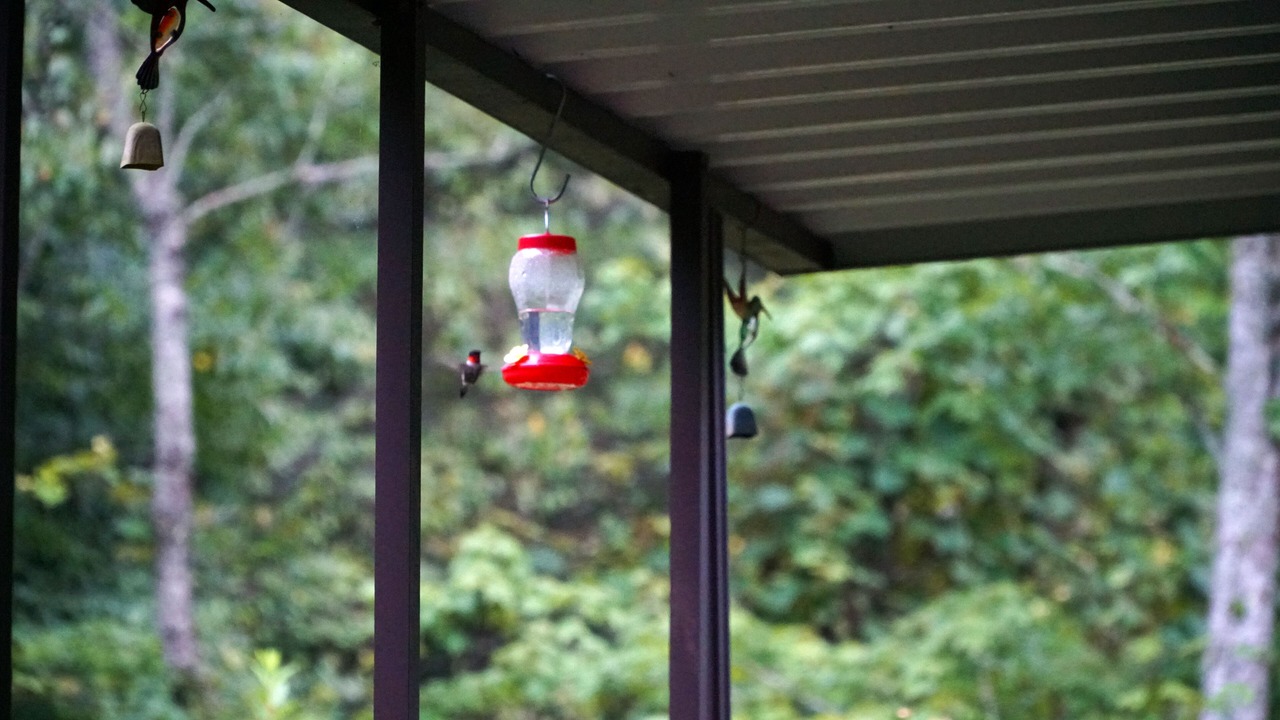 Photo of Others in Balsam Grove