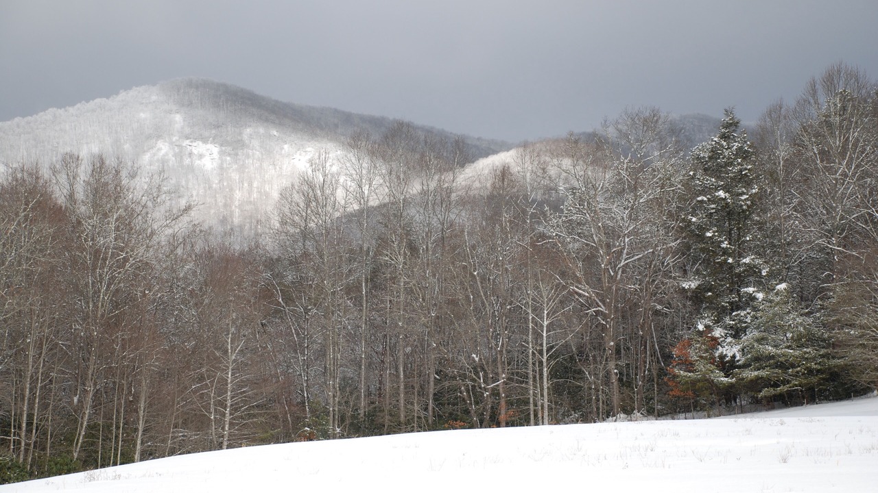 Photo of Others in Balsam Grove