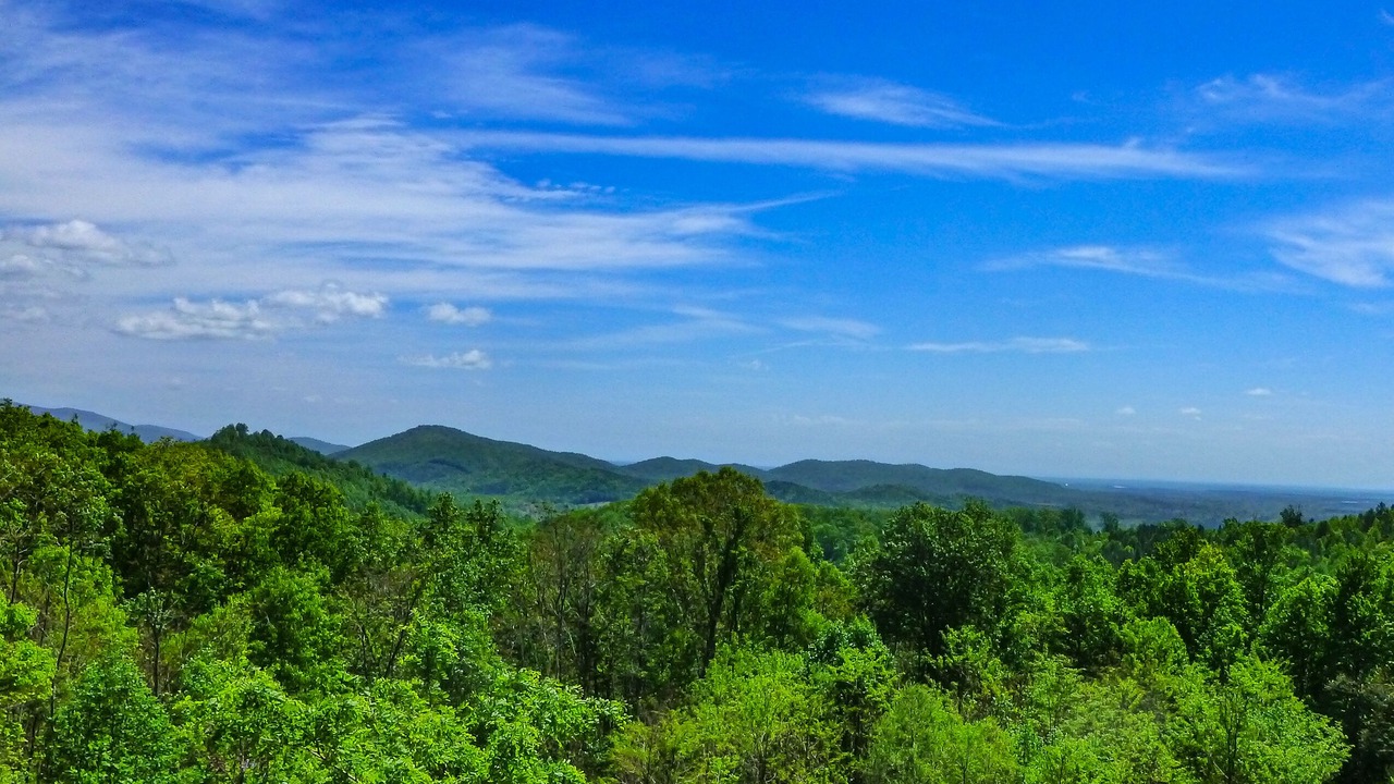 Photo of Others in Bostic