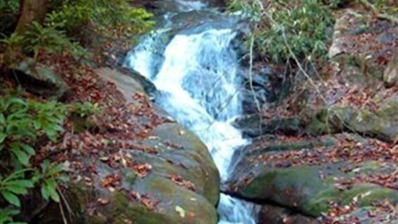 Photo of Others in Franklin