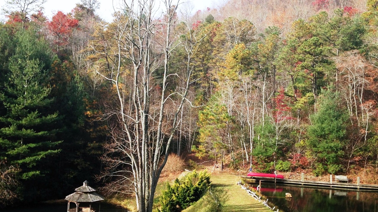 Photo of Outdoor in Franklin