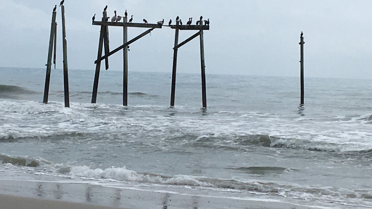 Photo of Others in Village of Stump Sound