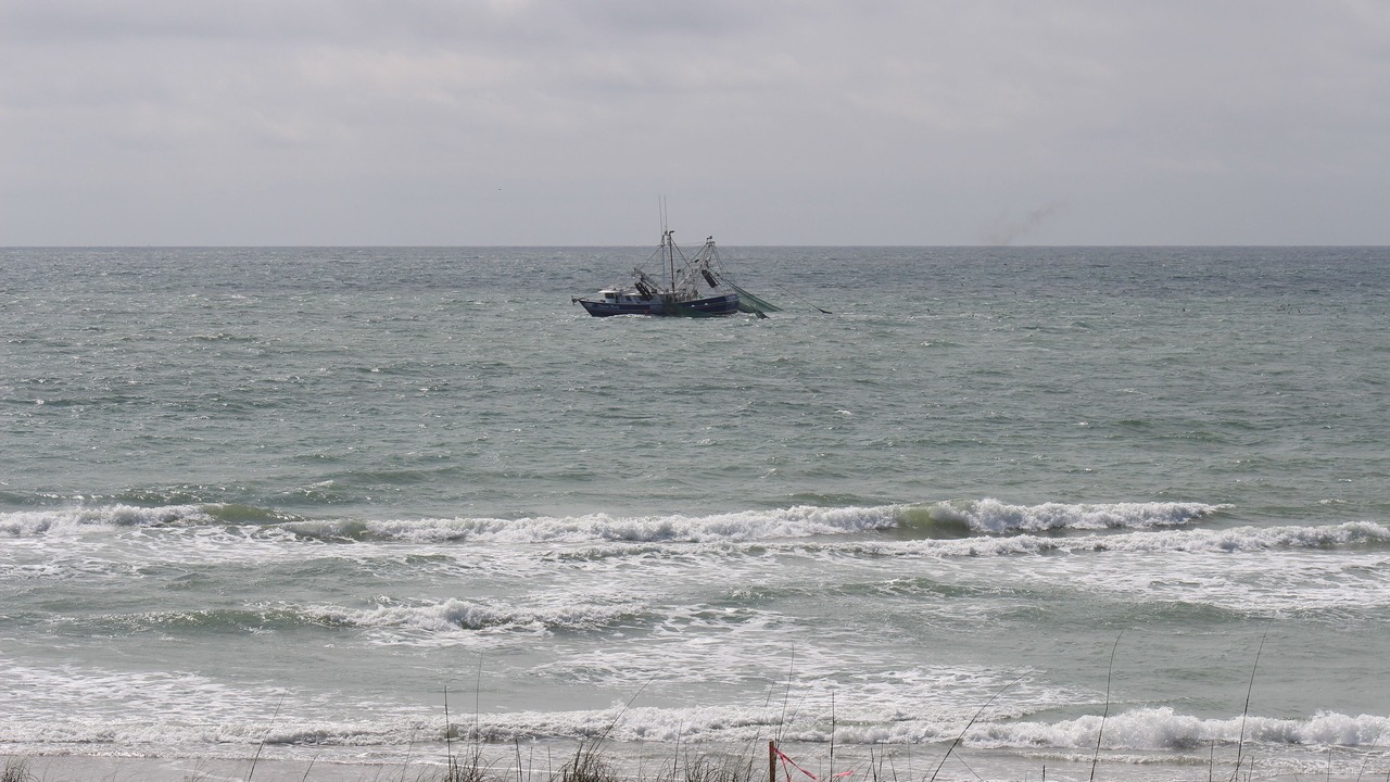 Photo of Others in Village of Stump Sound