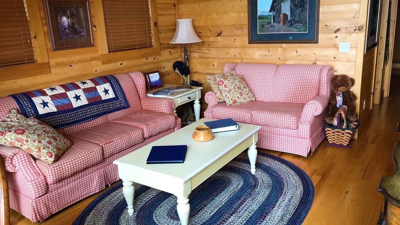 Photo of Livingroom in Vein Mountain