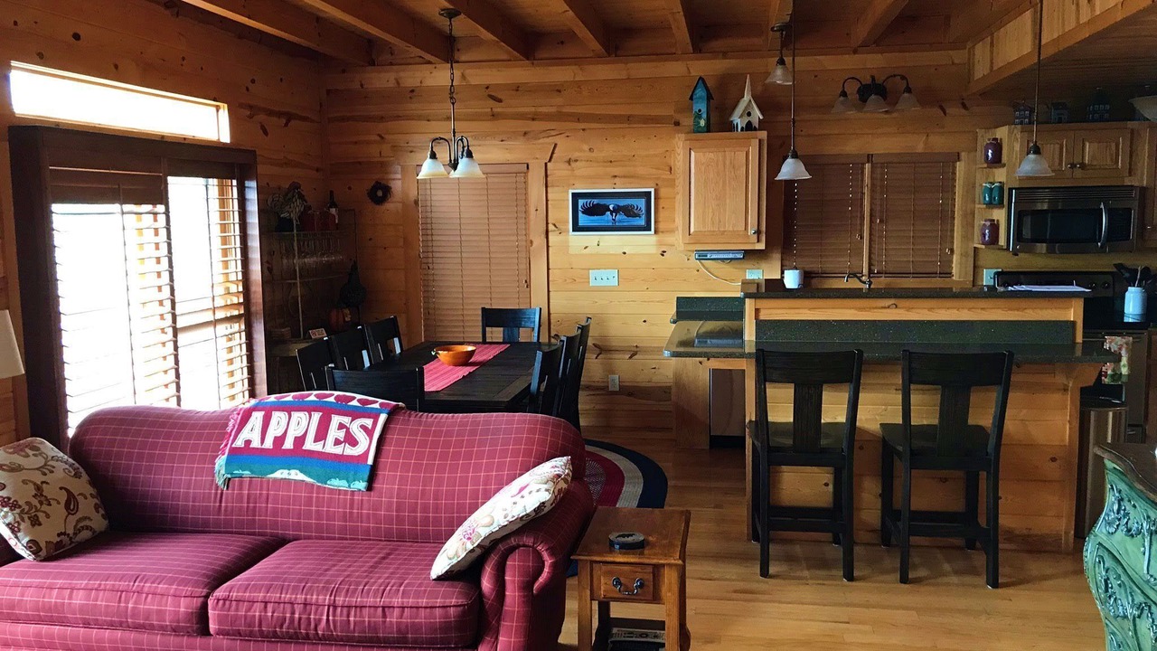 Photo of Livingroom in Vein Mountain