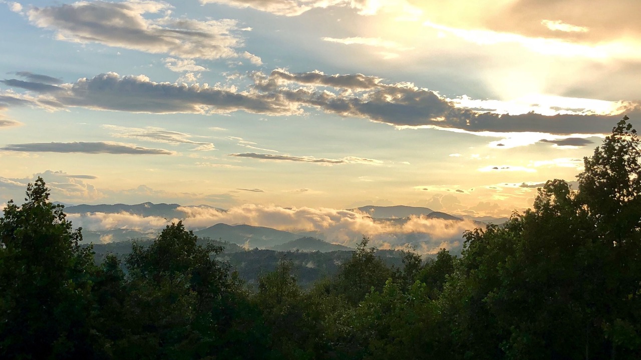 Photo of Others in Vein Mountain