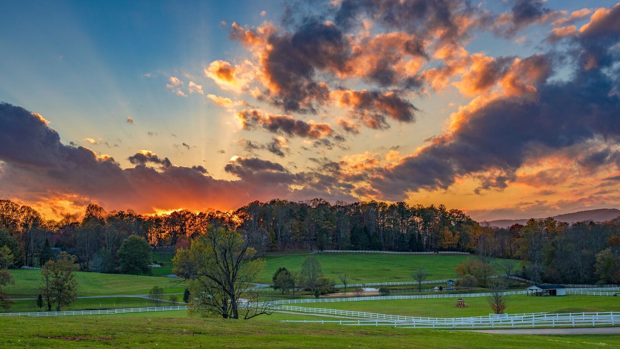 Photo of Others in Hendersonville