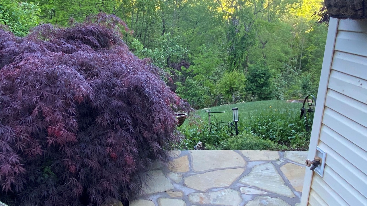 Photo of Outdoor in Black Mountain