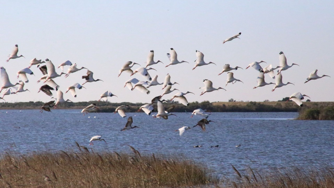 Photo of Others in Rodanthe